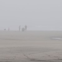 Enveloped In Fog